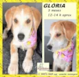 Glória