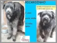 Ricardinho