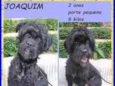 Joaquim