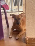 Kemilly izadora