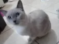 Mel