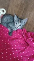 Julieta