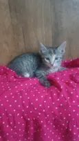 Julieta