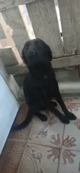 Ainda sem nome