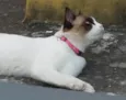 Nina