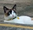 Nina