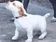 Polar