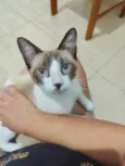 ANTÔNIO