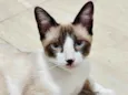 ANTÔNIO