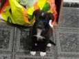 Maggie