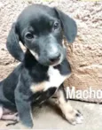 Nutella 2meses