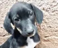 Nutella 2meses