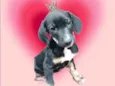 Nutella 2meses