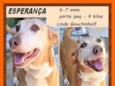 Esperança