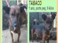 Tabaco