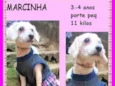 Marcinha