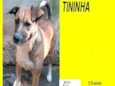 Tininha
