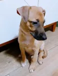 Belinha