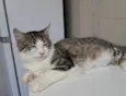 Fábio