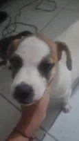 Branquinha