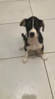 Zé