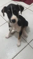 Zé