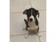 Zé
