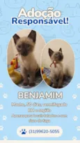 BENJAMIM