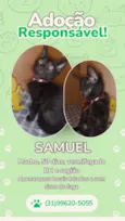 Samuel