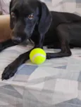 Nina