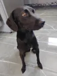 Nina