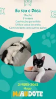 Agatha, Deca e Alfredo