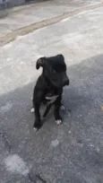 Neguinho
