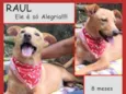 Raul
