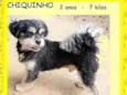 Chiquinho