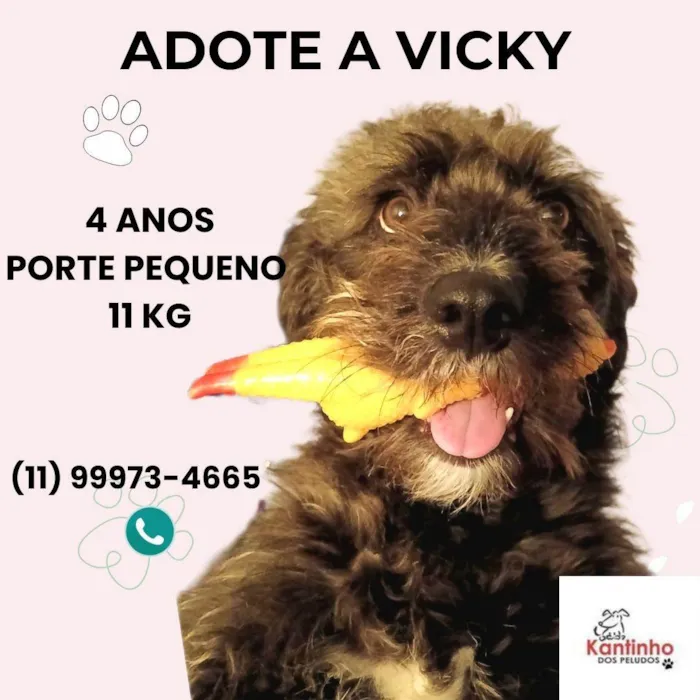 Cachorro ra a SRD-ViraLata idade 4 anos nome Vicky 