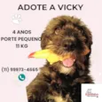 Vicky