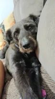 Vicky