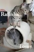 KIM, TOMY, RAFINHA