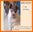 Melissa