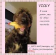 Vicky