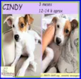 Cindy