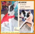 Kiara