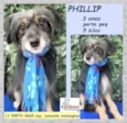Philip