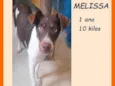 Melissa