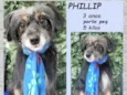 Philip