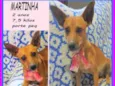 Martinha