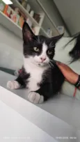 Théo