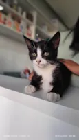 Théo
