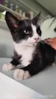 Théo